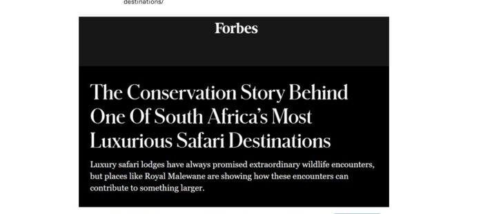 Forbes (USA) – in-depth conservation story Royal Malewane